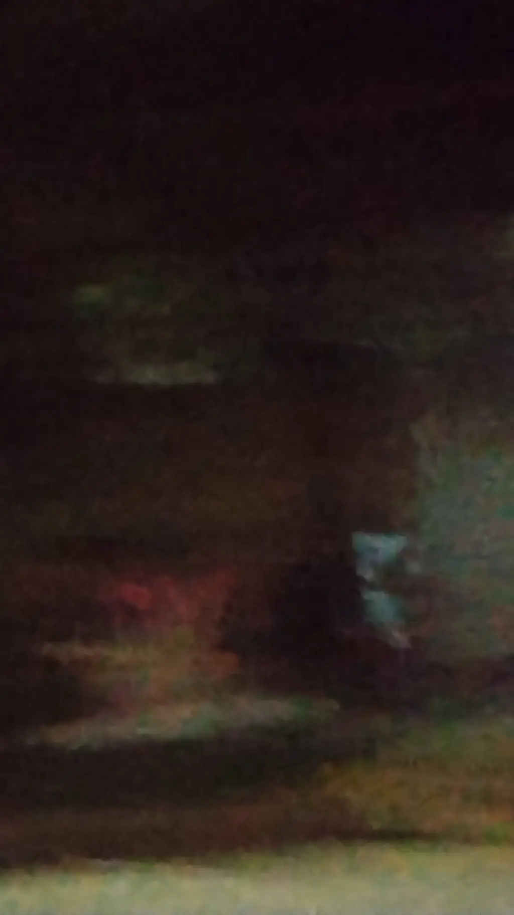 ai character: lost puppy background