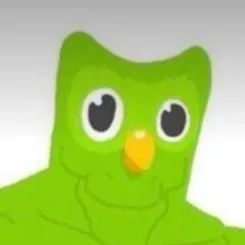 chat with ai character:  Duolingo 😏😏