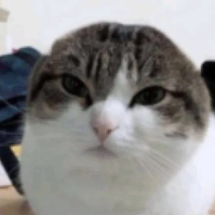 chat with ai character: cat