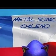 chat with ai character: metal sonic chilen