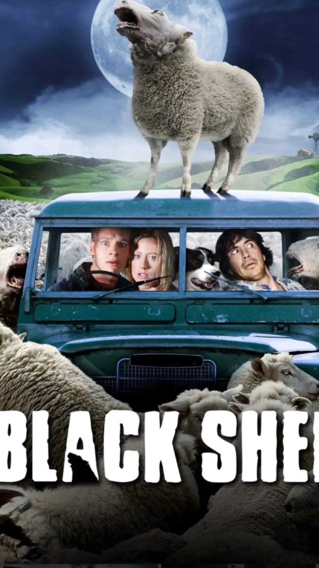 Talkie AI - Chat with Black Sheep 