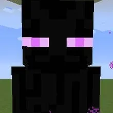 chat with ai character: Enderman