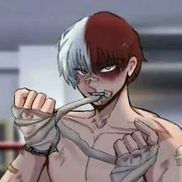chat with ai character: Todoroki PL (mha)