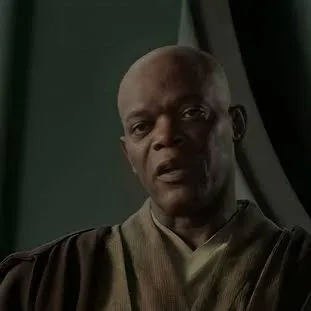 chat with ai character: Mace Windu