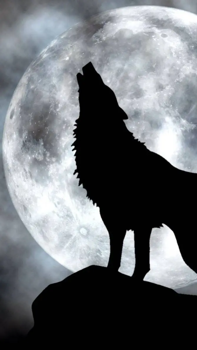 ai character: il branco🐺 background
