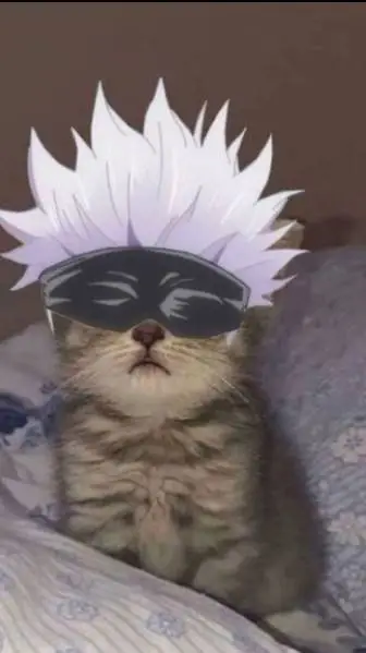 ai character: gatojo background