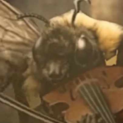 chat with ai character: Bee playing violin