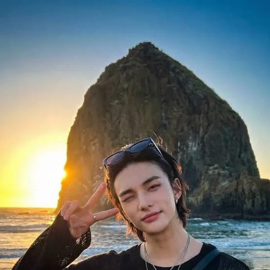 chat with ai character: Hyunjin 🌷