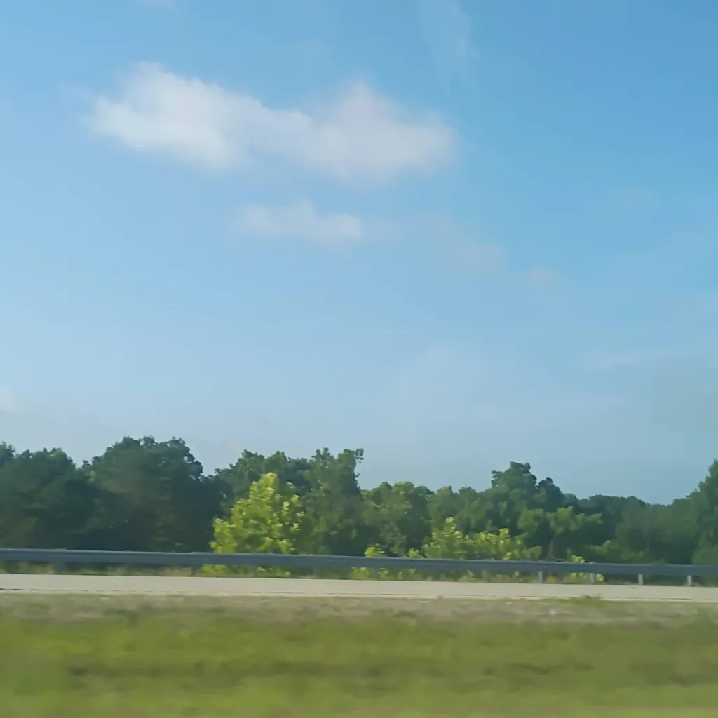 chat with ai character: a driving trip
