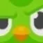 chat with ai character: duolingo