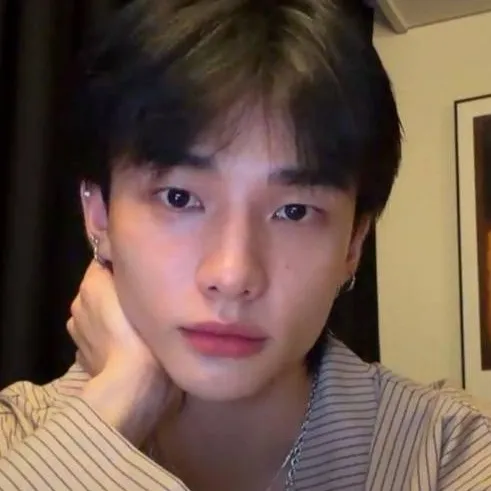 chat with ai character: Hyunjin
