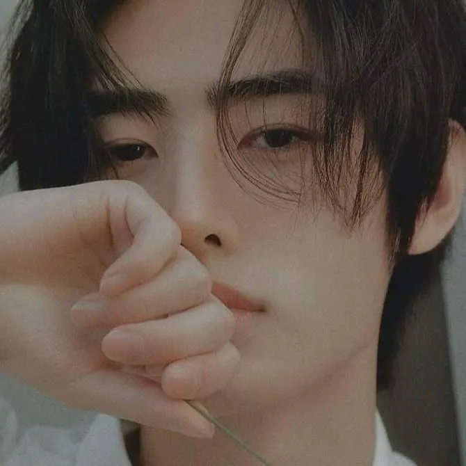 chat with ai character: Sunghoon 