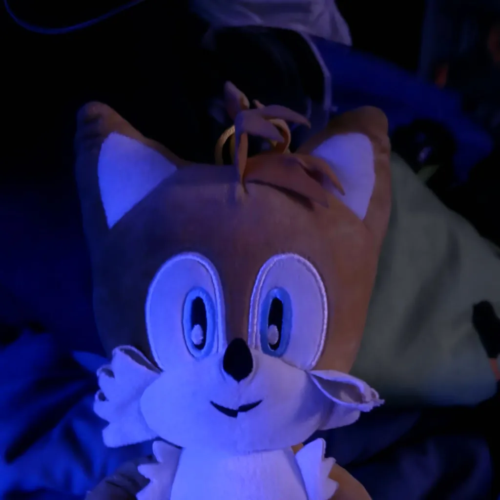 chat with ai character: Tails from sonic 