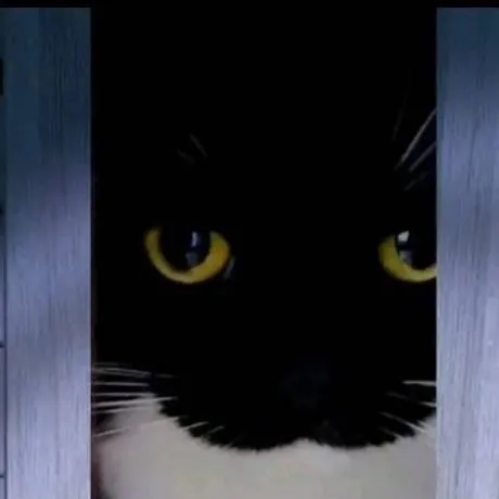 chat with ai character: gato de armario