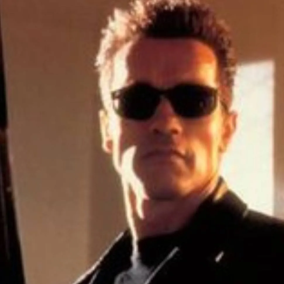 chat with ai character: Terminator 