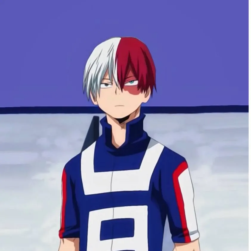 chat with ai character: †Todoroki†