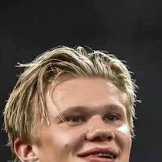 chat with ai character: erling halland