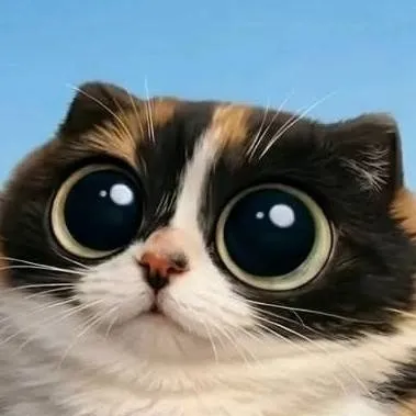 chat with ai character: котость