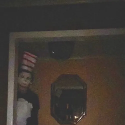 chat with ai character: Cat and the hat