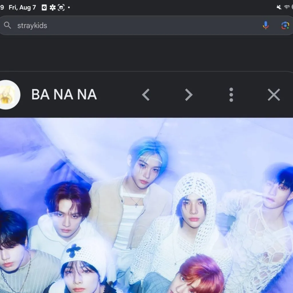 chat with ai character: StrayKIDS