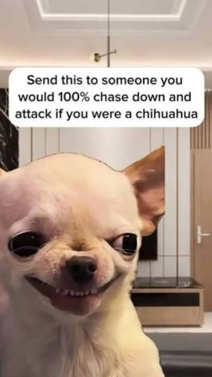 ai character: mha cheat background