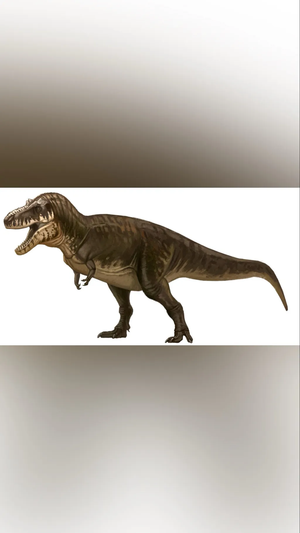 Talkie AI - Chat with Tyrannosaurus Rex