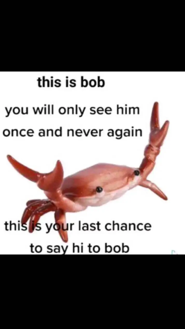 ai character: bob background