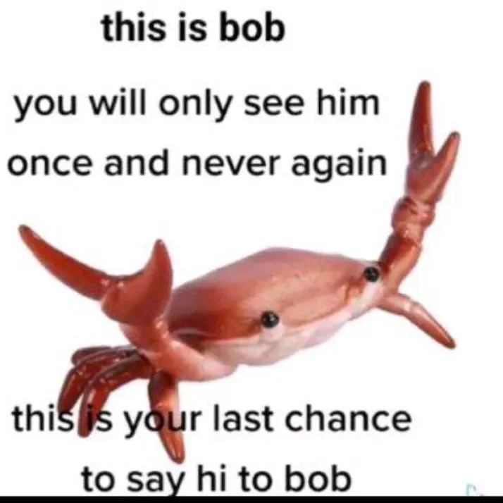 chat with ai character: bob