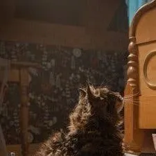 chat with ai character: Pet Sematary