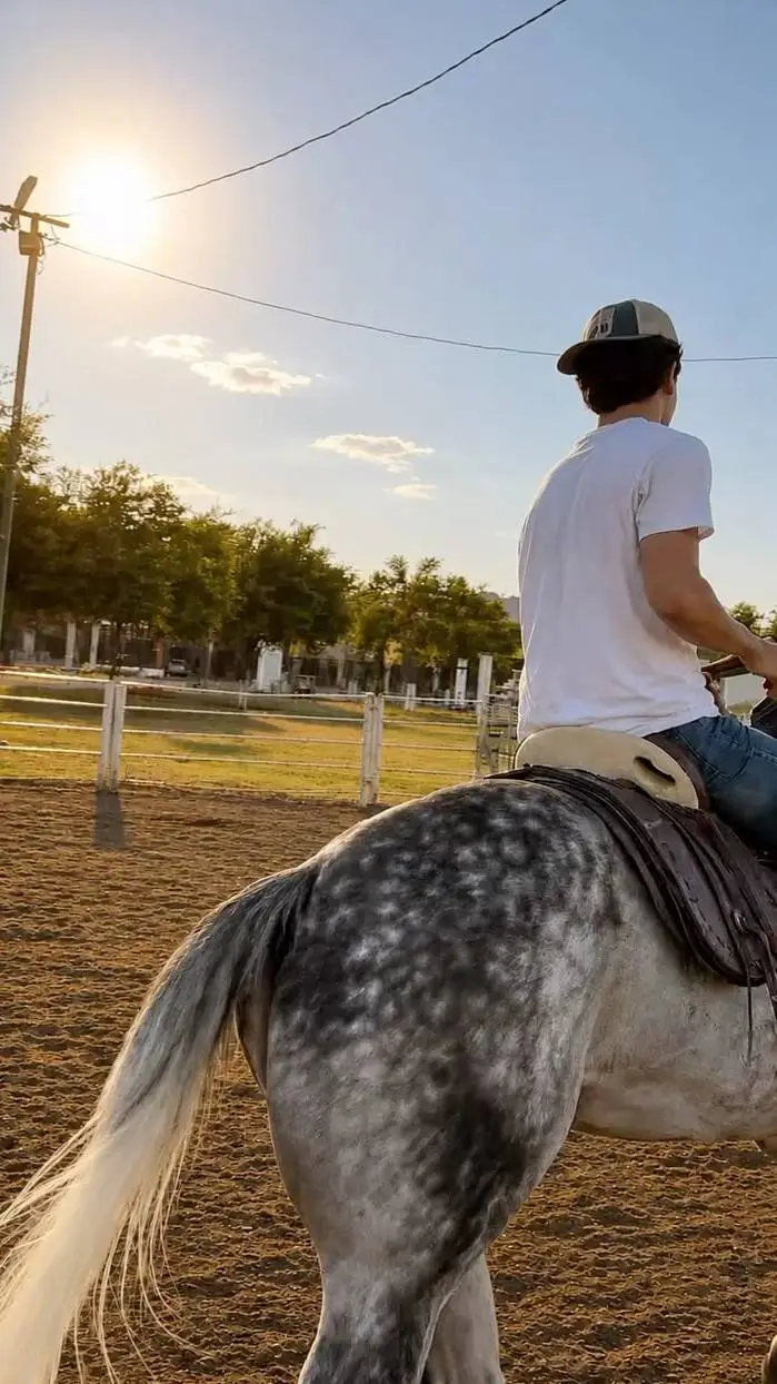 ai character: Sebastian🤠🐎 background