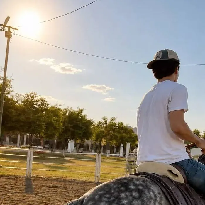 chat with ai character: Sebastian🤠🐎