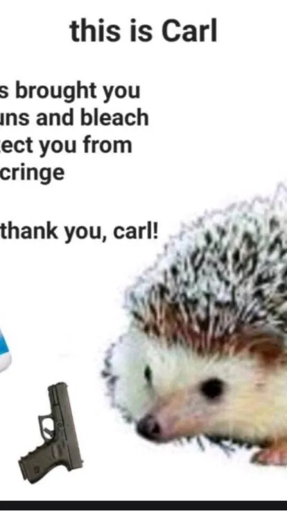 ai character: Carl background