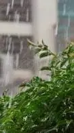 ai character: jjk rain  background