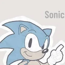 chat with ai character: Fpe sonic!