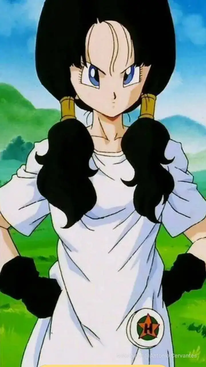 ai character: Videl background