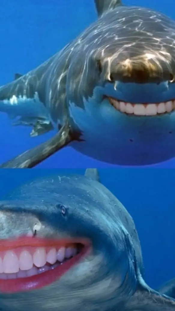 ai character: sharks!!! (joke) background