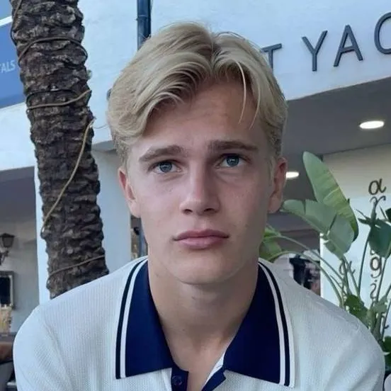 chat with ai character: Lucas Bergvall