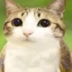 chat with ai character: meowl🥰🥰🥰🥰🥰