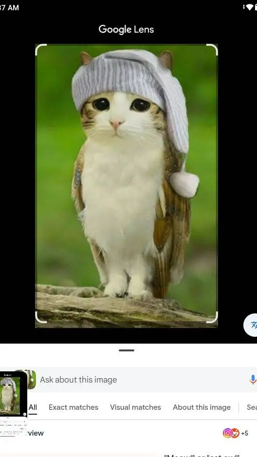 ai character: MEOWLLLLLLLLL  background