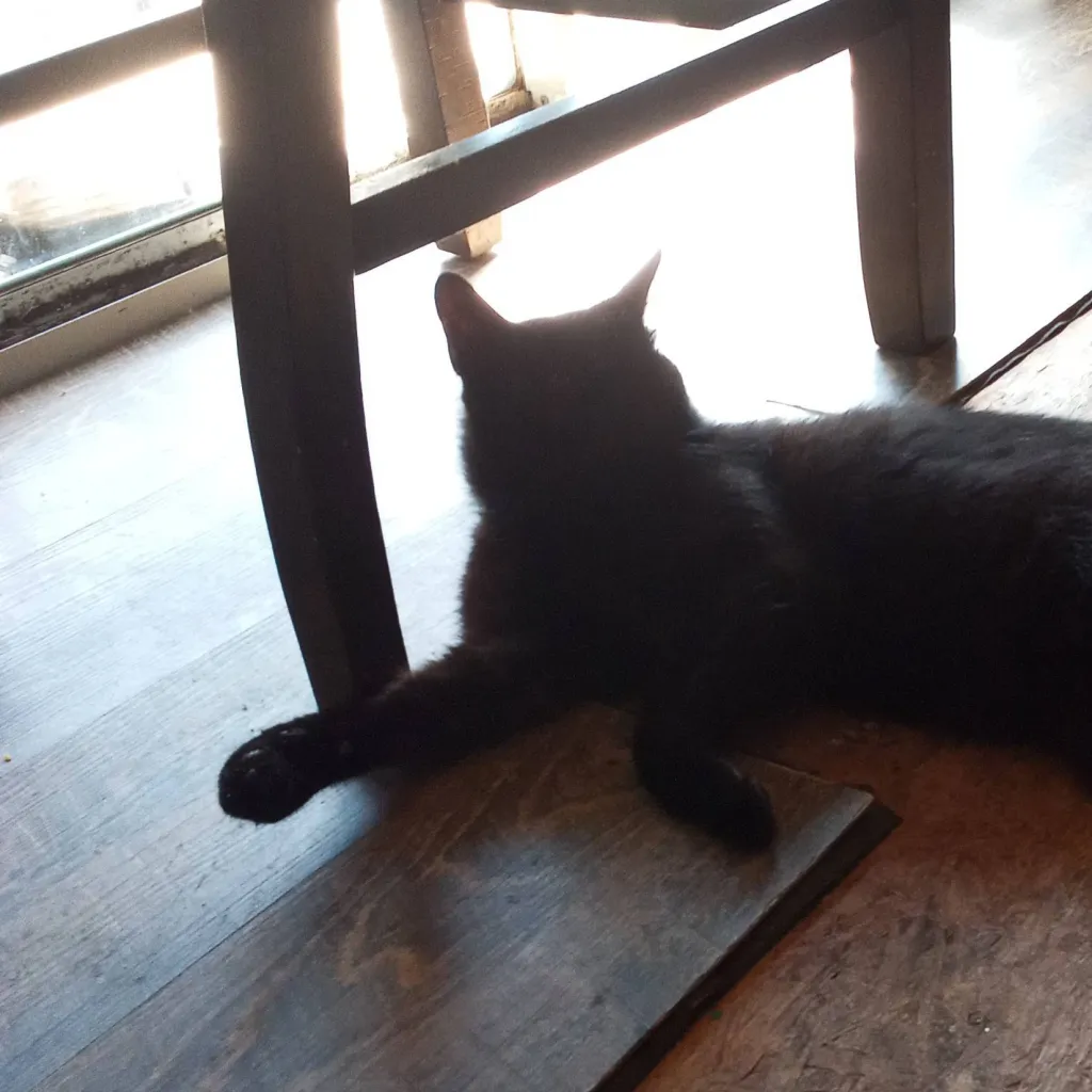 chat with ai character: the half cat 
