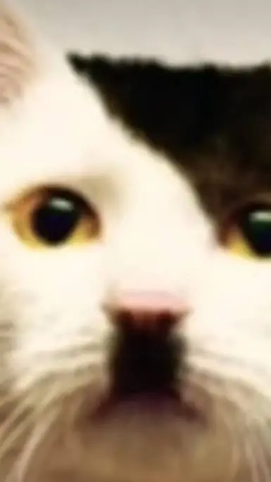 ai character: kitler background