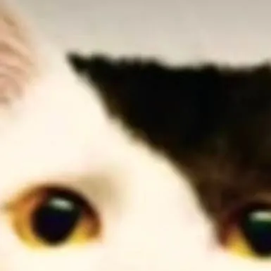 chat with ai character: kitler