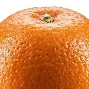 chat with ai character: orange 🍊🍊🍊🍊