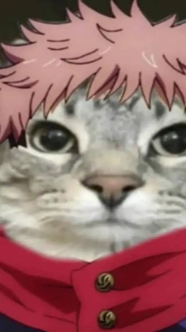 ai character: yuji cat background