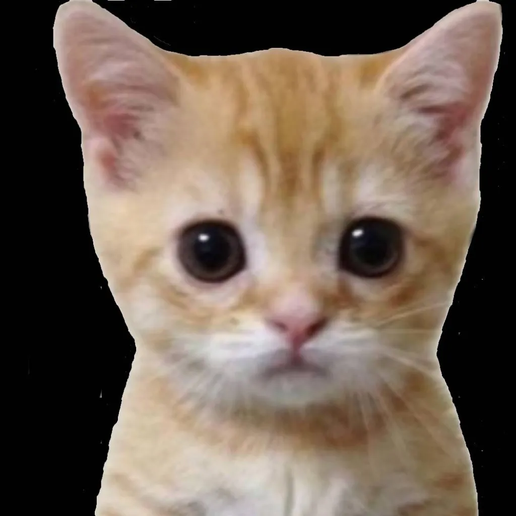 chat with ai character: el gato