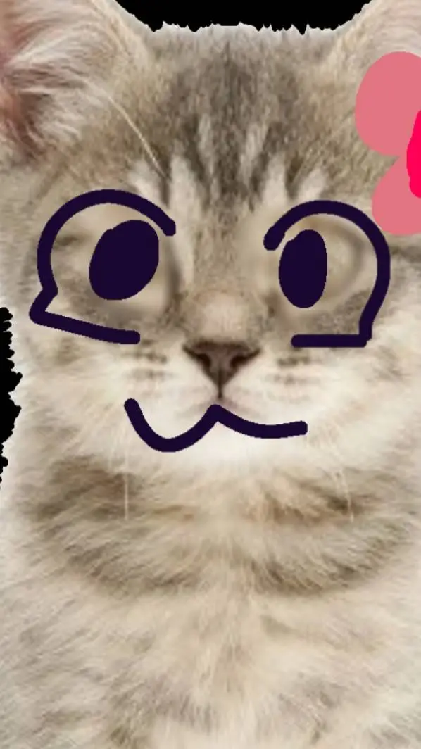 ai character: cattyroar background