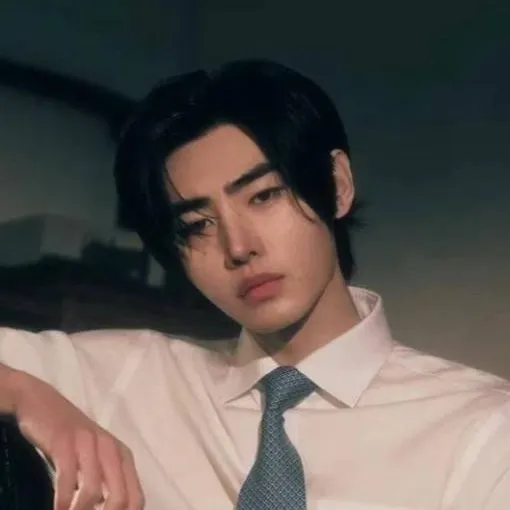 chat with ai character: Mr. Park Sunghoon