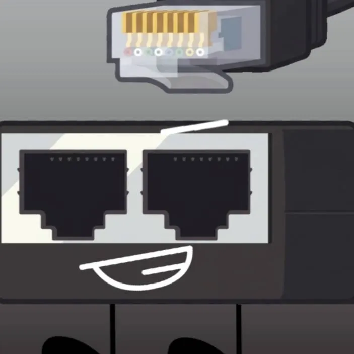 chat with ai character: Ethernet Splitter