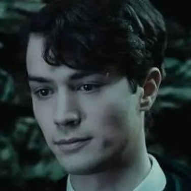 chat with ai character: Tom Riddle  BL