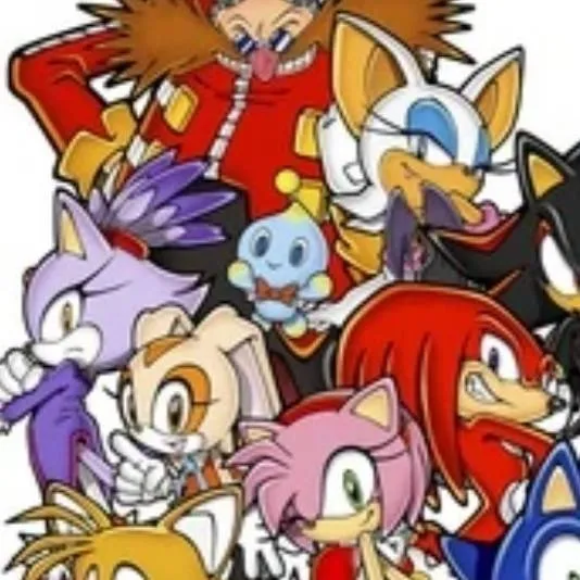 chat with ai character: *Sonic crew*